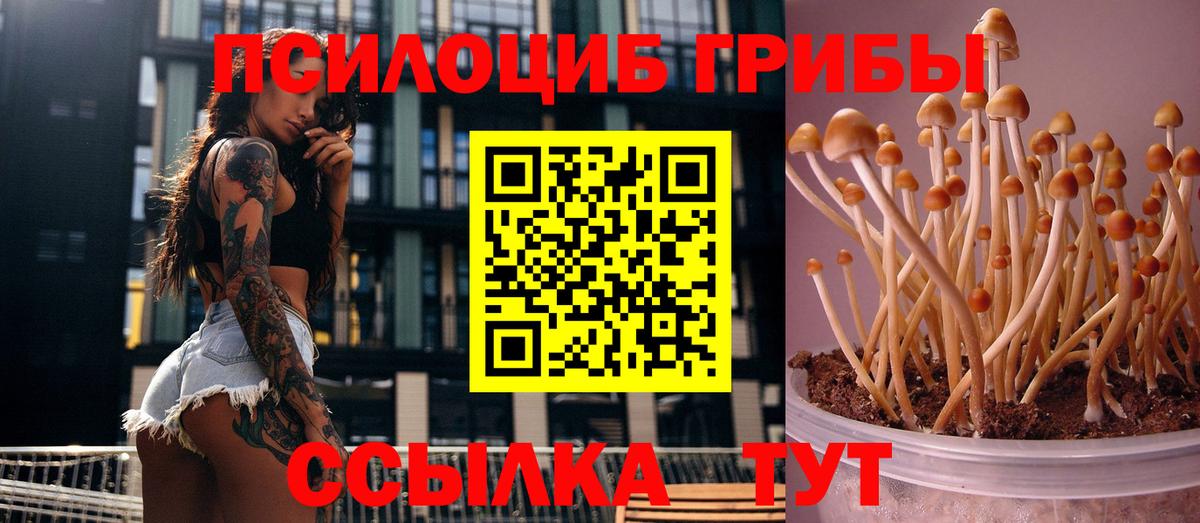 Псилоцибиновые грибы ЛСД Ишим